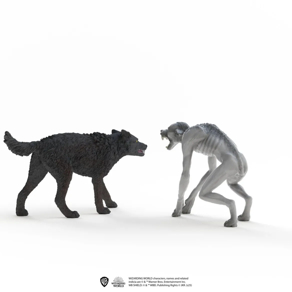 Werwolf vs. Animagus