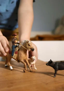 Westernreiten