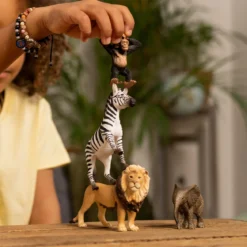 Wild Life Afrika Starter-Set