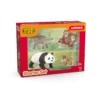 Wild Life Asien Starter-Set