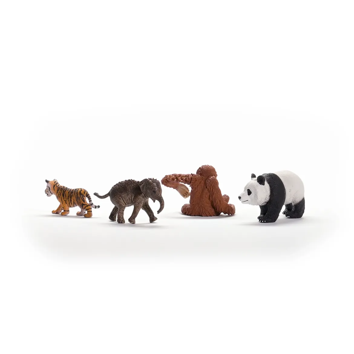 Wild Life Asien Starter-Set