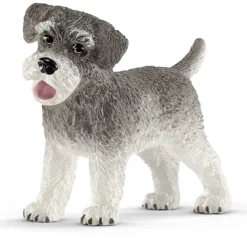 Zwergschnauzer